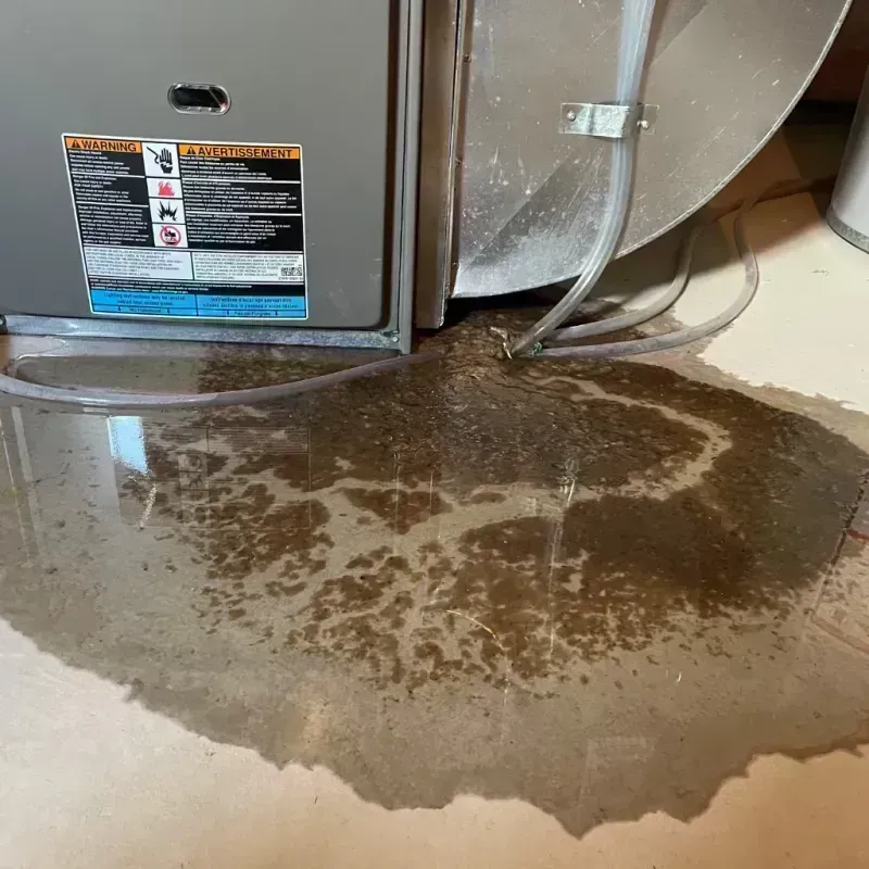 Appliance Leak Cleanup in Wrightsville, PA